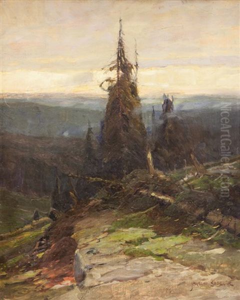 Horsky Polom - view 1