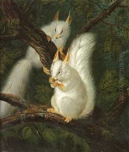 To Hvide Egern I Et Grantrae by Johann Friedrich Seupel