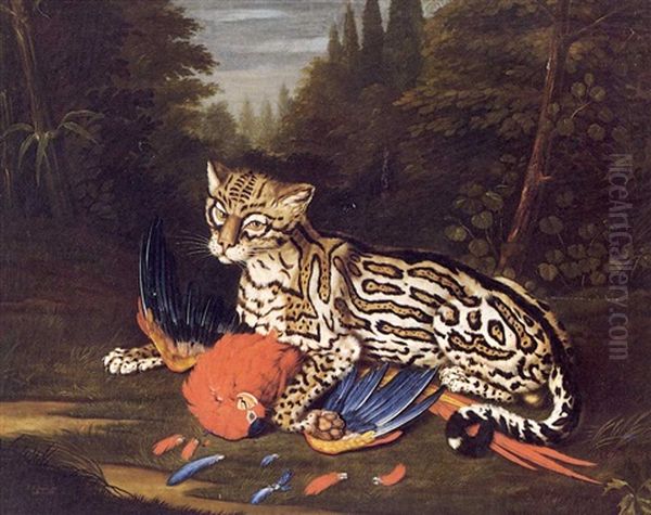 An Ocelot Watching Over A Dead Parrot - view 1
