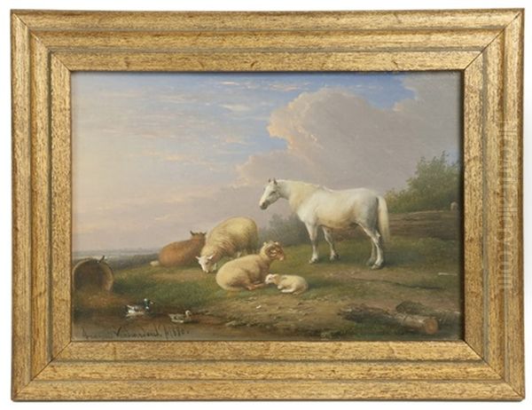 Sheep And White Horse At Pond With Mallard Ducks - view 1