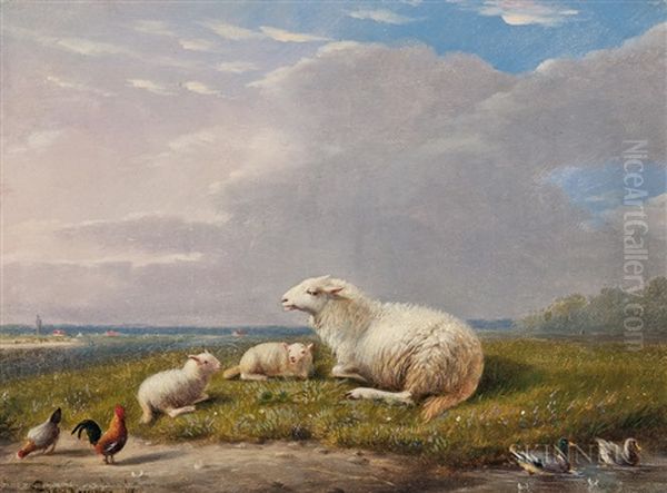 Ewe And Lambs In A Meadow - view 1