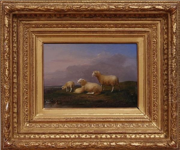 Sheep And Ducks Near A Pond - view 1