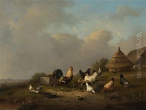 Flock Of Hens Flock Of Hens