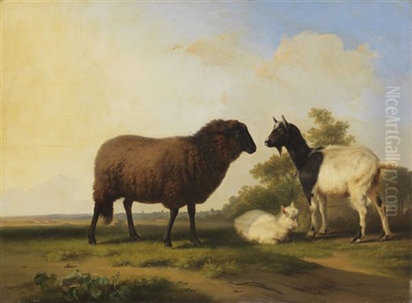 Schaf, Ziege Und Zicklein Vor Weiter Landschaft - view 1
