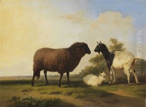 Schaf, Ziege Und Zicklein Vor Weiter Landschaft Schaf, Ziege Und Zicklein Vor Weiter Landschaft