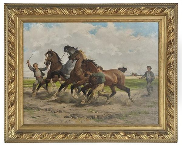 Taming The New Horses - view 1