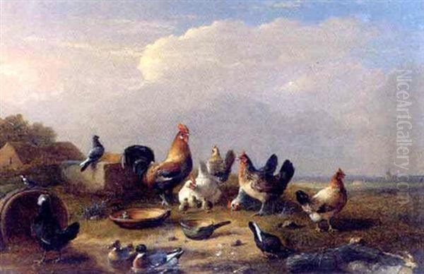Ducks And Hens By A Pool In An Evening Landscape - view 1