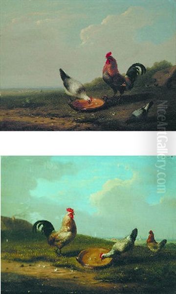 Cocks And Hens - view 1