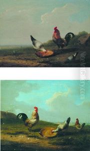 Cocks And Hens