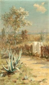 Garden Gate In A Southwest Landscape by Robert Van Vorst Sewell