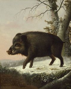 Ein Wildschwein Im Winterlichen Wald