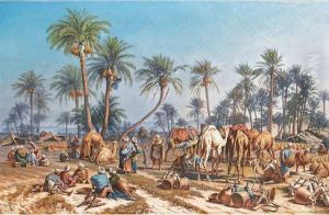La Recoltes Des Dattes
