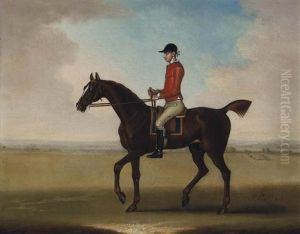 Mr John Martindale's Chestnut Racehorse Sedbury, With Jockey Up