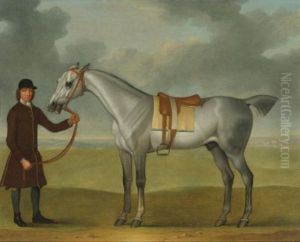 Mr. Thomas Panton's "crab", A Grey Racehorse, Being Held By A Groom On Newmarket Heath