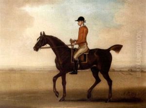"sedbury" With Jockey Up