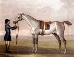 A Grey Racehorse Held By A Groom In The Livery Of The Duke Of Devonshire by James Seymour