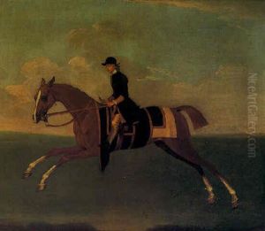 A Chestnut Racehorse With Jockey Up