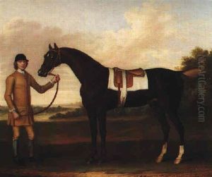 Lord Strange's Dark Bay Racehorse, "sportsman", Held By A Groom