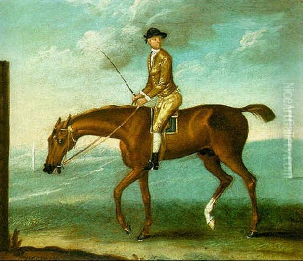 Mr. Lamego's "little Driver" With Jockey Up On A Racecourse - view 1