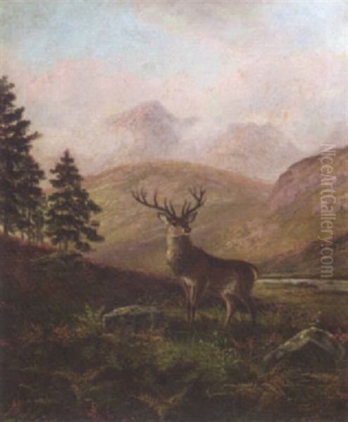 Glen Sannox - view 1