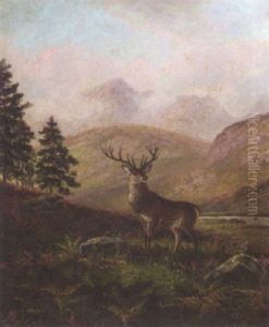 Glen Sannox