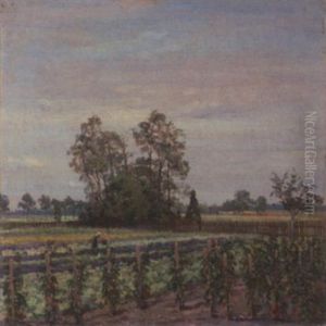 Gemuseacker Mit Tomatenstauden by Hans Seyppel
