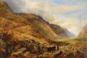 Herding The Sheep (in The Scottish Highlands)
