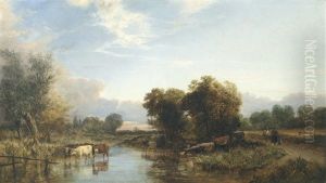 Cattle Watering In A River Landscape