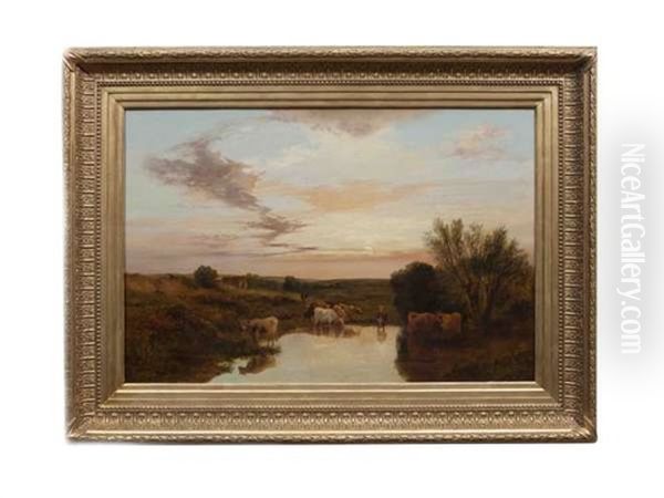 Cattle Watering At Sunset - view 1