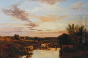 Herdsman Watering Cattle At Evening
