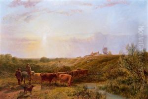 Rinderherde An Der Furt
