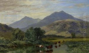 Englische Landschaft Mit Kuhen