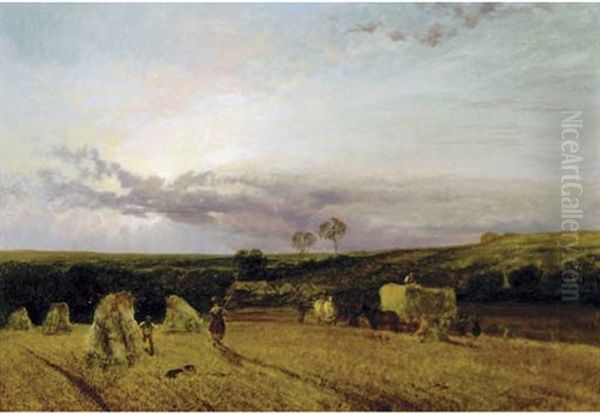 The Harvest Field, Sunset - view 1