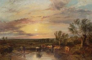 Cattle Watering At Sunset