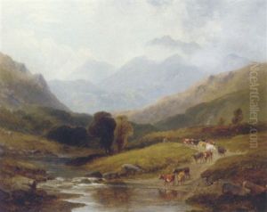 Watering The Herd