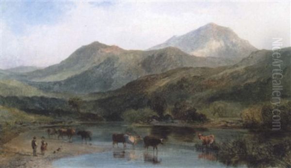 Cattle Watering At A Lake - view 1
