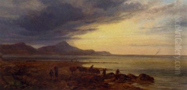 Carting Seaweed On The Irish Coast - view 1