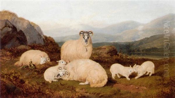 Ewes And Lambs In A Highland Landscape - view 1