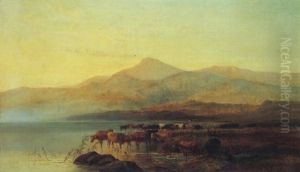 Evening Calm by George Shalders