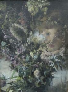 Pussy-willow