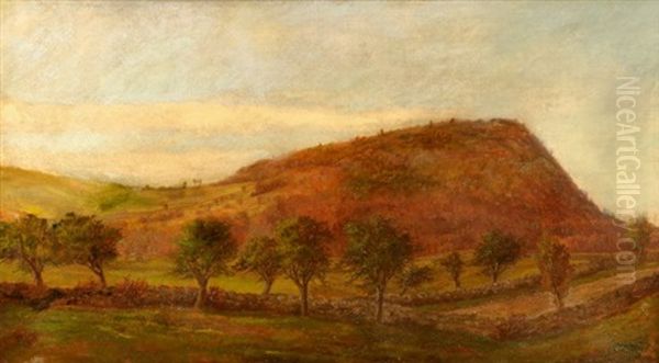 Landscape - view 1