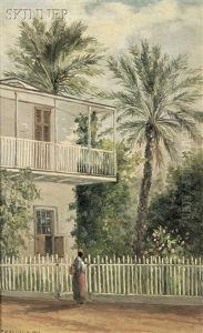 Dr. Pack's Palm Trees, St. Augustine, Fla by Frank Henry Shapleigh