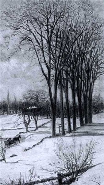 Winter, Lebanon, Maine - view 1