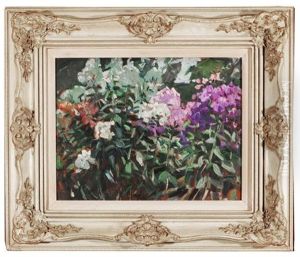 Phlox In Midsummer - A Study by Dorothea Sharp