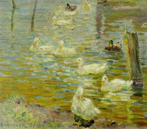 Ducks by Dorothea Sharp