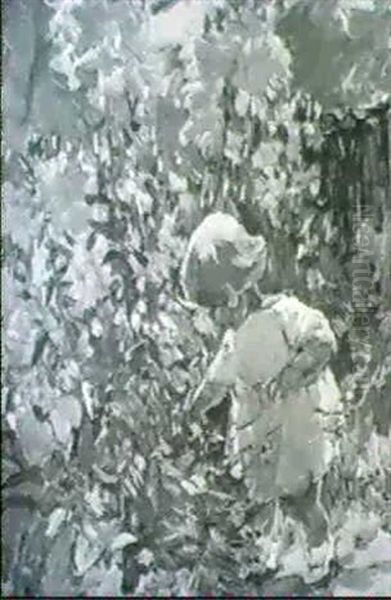 A Walk In The Garden - view 1