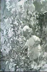 A Walk In The Garden by Dorothea Sharp
