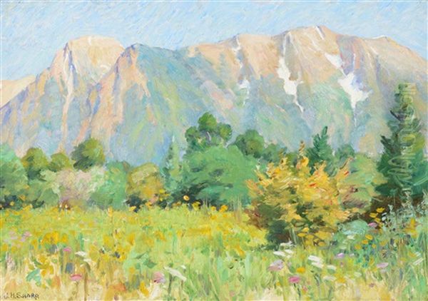 Jackson Hole Country, Wyoming - view 1