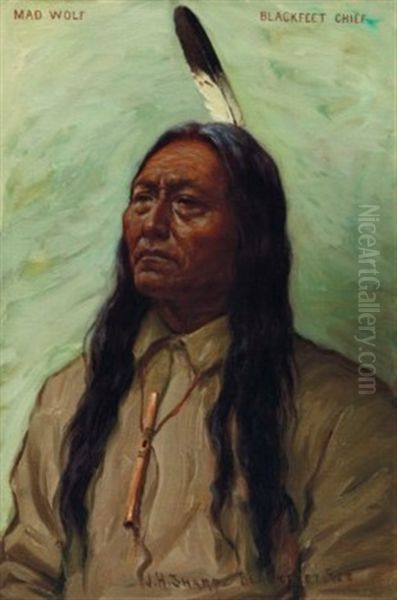 Mad Wolf, Blackfeet Chief - view 1