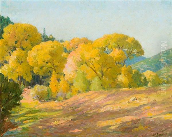 Cottonwoods Canon, Taos - view 1